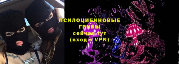 ГАЛЛЮЦИНОГЕННЫЕ ГРИБЫ Вязьма
