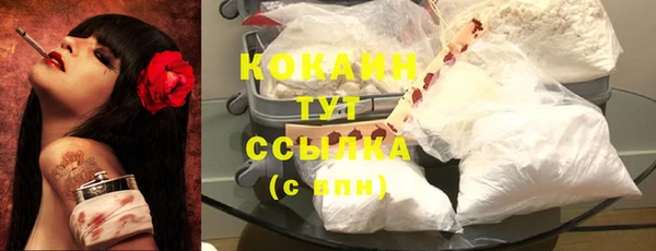 ГАЛЛЮЦИНОГЕННЫЕ ГРИБЫ Вязьма