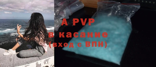 ГАЛЛЮЦИНОГЕННЫЕ ГРИБЫ Вязьма