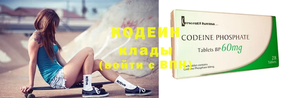 ГАЛЛЮЦИНОГЕННЫЕ ГРИБЫ Вязьма