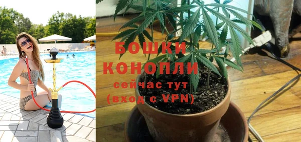 марки nbome Вяземский